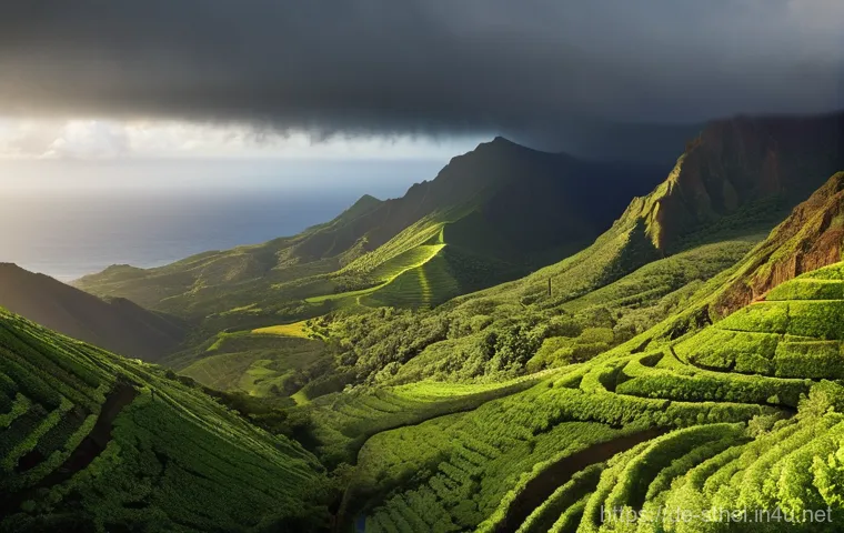 세인트헬레나 기후 및 날씨 - **Misty Cloud Forest of St. Helena's Interior:**
    "An ethereal and lush landscape depicting the c...