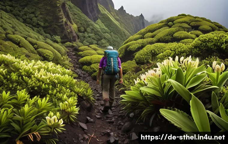 세인트헬레나 여행 중 피해야 할 것 - A detailed scene of a hiker on St. Helena&rsquo;s rugged volcanic terrain, wearing sturdy hiking boots and...